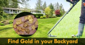 Find-Gold-in-your-backyard | MetalFindr.com