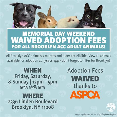 Acct philadelphia pa 19140 adoption fees waived for puppies 9
