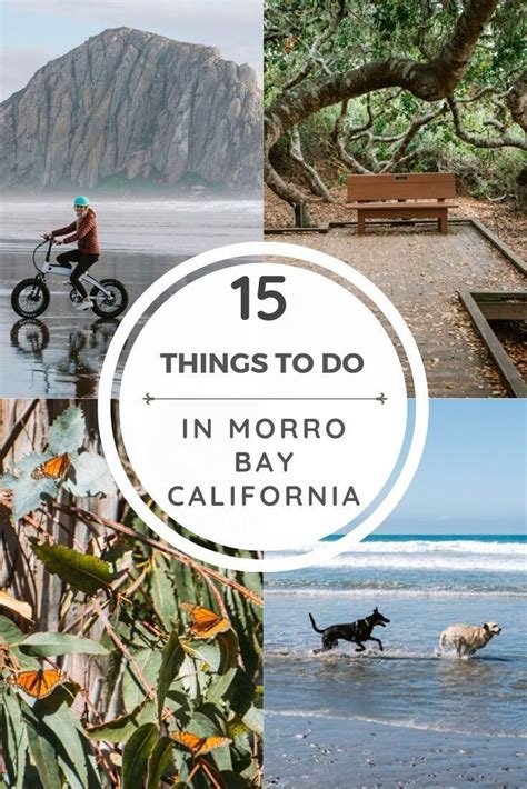 15 Wonderful Things To Do In Morro Bay Artofit