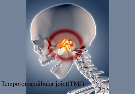 What Are Common Orthodontic Problems That Can Be Solved