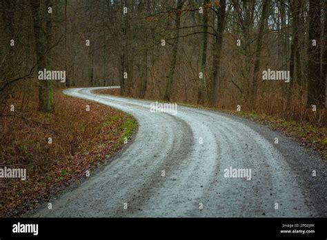 double bend   gravel road   dark forest stock photo alamy