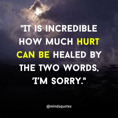 115 Best Apology Quotes That Will Inspire You To Say Sorry