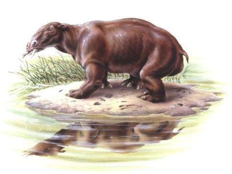 The Giant Mammals of the Cenozoic Era | Mammals, Prehistoric animals, Extinct animals