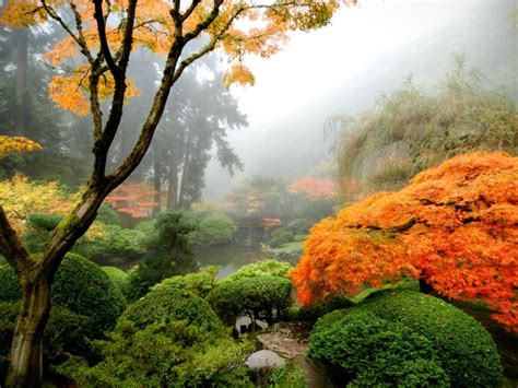 Japanese Garden Design: What Is A Japanese Garden | Gardening Know How