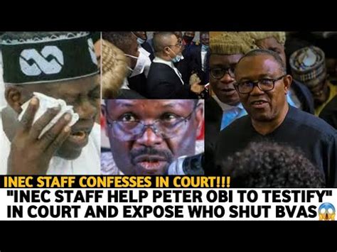 VIDEO TINUBU PANÏC AS INEC STAFF TESTIFY FOR PETER OBI IN COURT AND