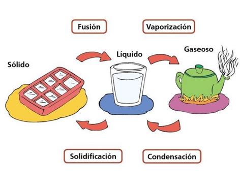 TOMi Digital Estados Y Cambios De La Materia