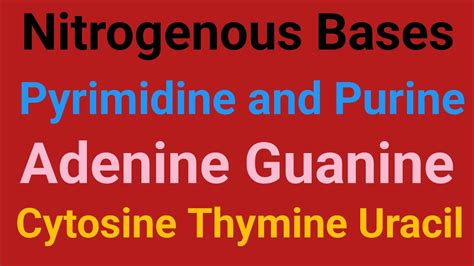 Nitrogenous bases|Pyramidines|Purines|Structure of Adenine, Guanine ...