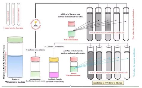 Microbiological Assay Of Antibiotics Ppt