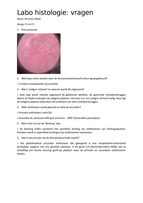 Labo Histologie Vragen Labo Histologie Vragen Naam Hermans Bieke