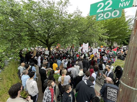 Hundreds in Washington D.C. Protest in Solidarity With Palestine ...