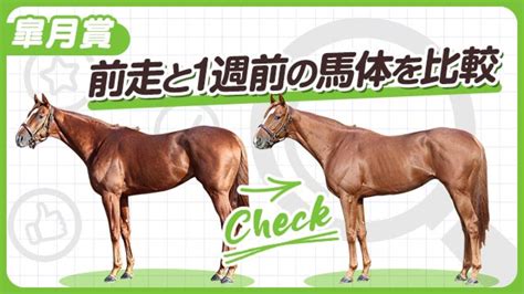 【皐月賞2024】レガレイラやジャスティンミラノなど有力馬の前走と1週前の馬体を比較！ 競馬予想動画 Netkeiba