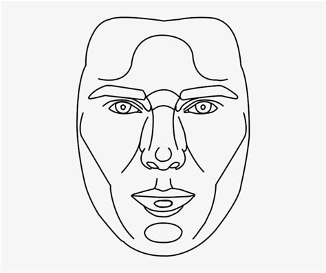 Golden Ratio Perfect Face Template Procreate Transparent - Including ...