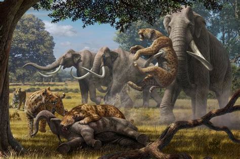 Large Violent Animal Packs Shaped The Ecosystems Of The Pleistocene