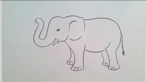 How To Draw Elephants Step By Step Drawing For Beginners ।। Artist Art Youtube