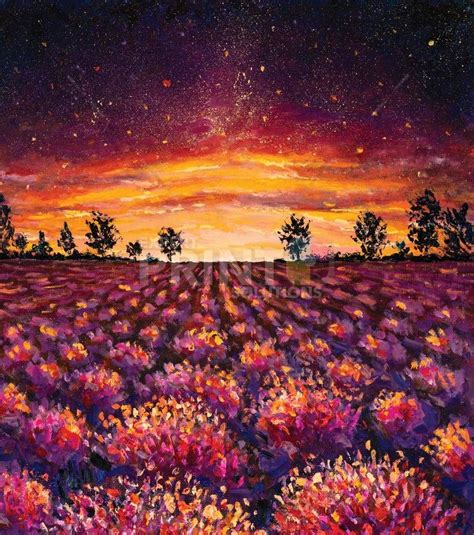 Beautiful Lavender Field after Sunset Dishwasher Magnet - Expert Print ...