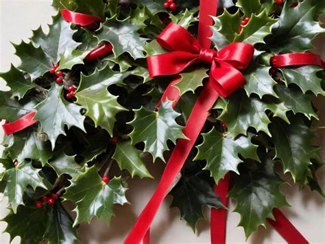 Premium Photo | A Bunch Of Holly With Red Bows And Holly Leaves