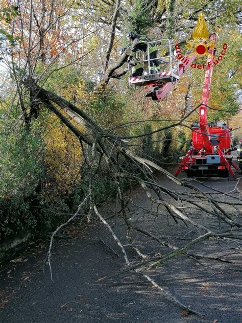 Raffiche Di Vento Fino A 100km H Domenica Di Maltempo SullIrpinia