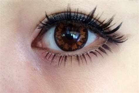 CHUBBYCHEEKXღ~: [Review] Pegavisionღ Aquamax Color Soft Contact Lenses ...