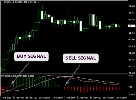 Double Macd Metatrader 4 Forex Indicator