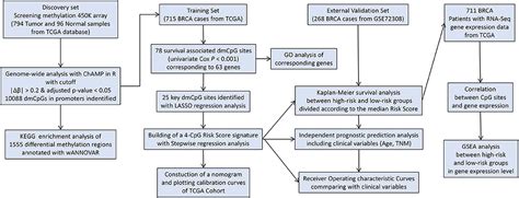 Frontiers A Novel Promoter CpG Based Signature For Long Term Survival