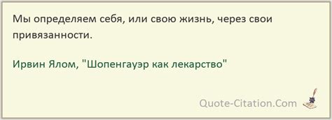 Мы определяем себя – цитата из книги "Шопенгауэр как лекарство", Ирвин Ялом