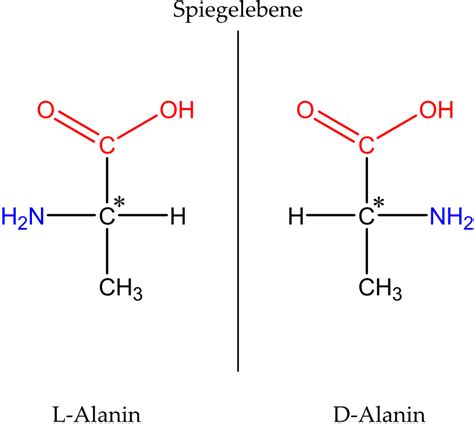 Aminos Uren Grundbaustein Der Proteine