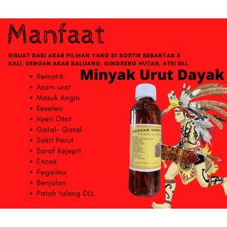 Jual Terlaris Minyak Urut Dayak Asli Akar Kayu Terbaik Kalimantan