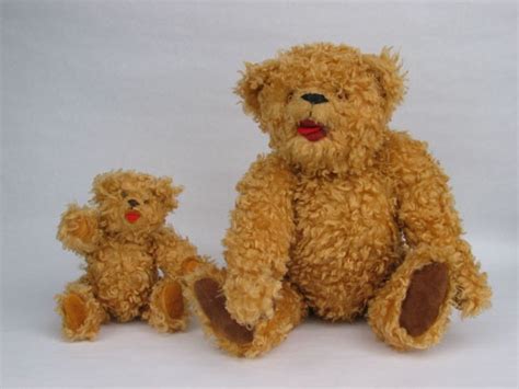 A Bear With Open Mouth Teddy Bear Bear Teddy