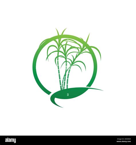 Sugarcane logo and symbol Stock Vector Image & Art - Alamy