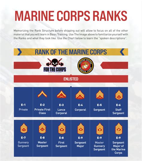 Marine Corps Knowledge | What Should You Know Before Boot Camp? - For ...