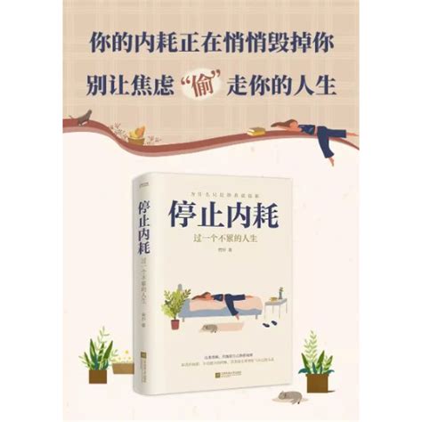 停止内耗：过一个不累的人生 若杉 Leebook