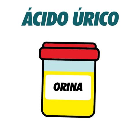 Acido Urico En Orina Laboratorio Médico Samalab