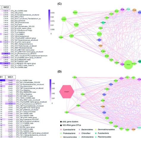 Correlation Of Key 16s Rrna Gene Otus And Cbbl Gene Clusters Ab