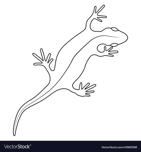 Lizard Reptile Gecko Outline Simple Line Art Vector Image