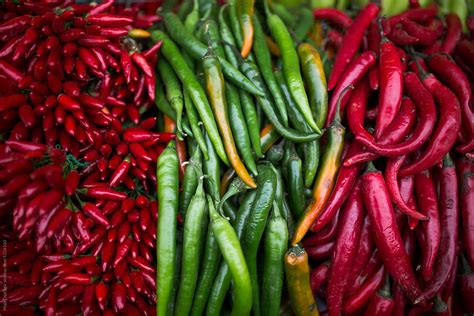 Hot Chilli Peppers At The Market Del Colaborador De Stocksy Maja Topcagic Stocksy
