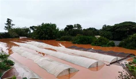 Campanha De Solidariedade Do Mst Para O Rs