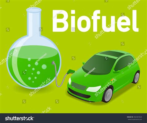 Biomass Fuel Made By Algae Diagram Stock Vector Royalty Free