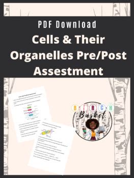 Cells Their Organelles Unit Pre Post Assessment Questions By Birch Basket