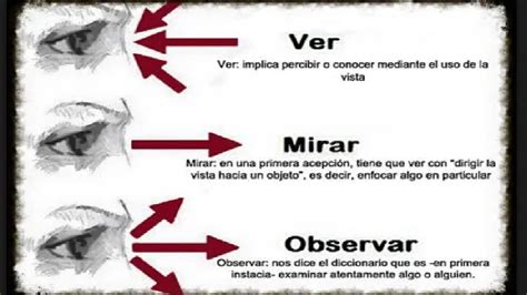 Diferencia Entre Ver Mirar Y Observar Pdf Viera Powerpoint