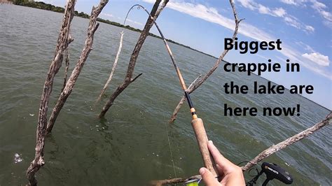 Where To Locate And Catch The Biggest Crappie In Your Local Lake Right