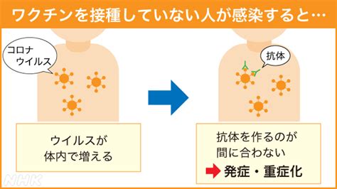 新型コロナ 子どものワクチン接種 打つ・打たない どう考える｜nhk