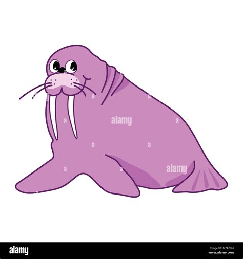 Walrus Cartoon High Resolution Stock Photography And Images Alamy