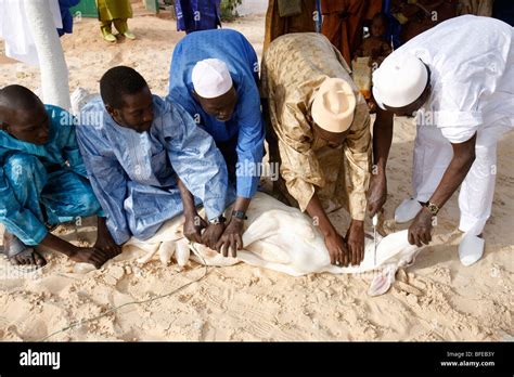 S N Gal Dakar Tabaski Festival Sheep Slaughtered After The Eid Prayer