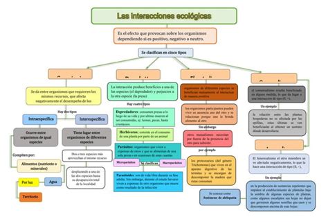 Interacciones Ecologicas MAPA Docx