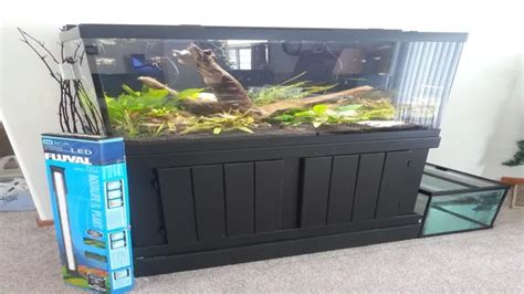 How To Build A 65 Gallon Aquarium Stand Step By Step Guide For Fish