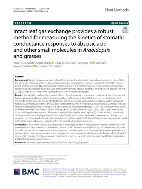 PDF Intact Leaf Gas Exchange Provides A Robust Method For Measuring