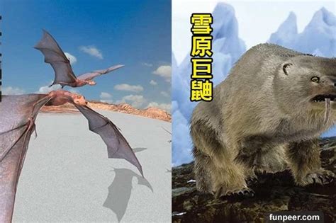 科學家預測地球在「500萬年後」的6大新物種，每種都「屌打人類」。5這熟悉的動物變種「長了人臉」？！