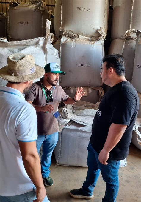 Excurs O T Cnica Leva Para Produtores Da Regi O Do Cone Sul Do Estado