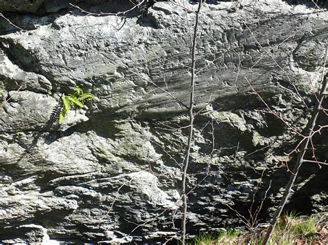 Thursday Hike ~ Hudson Valley Geologist