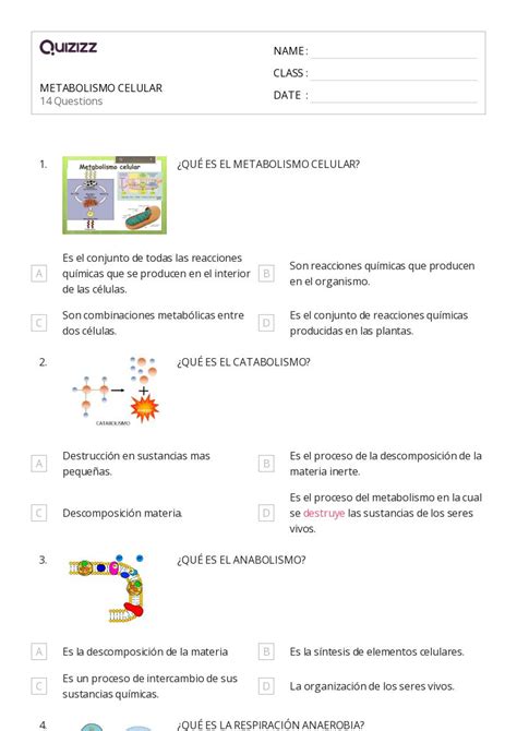 Regulaci N De Genes Hojas De Trabajo Para Grado En Quizizz